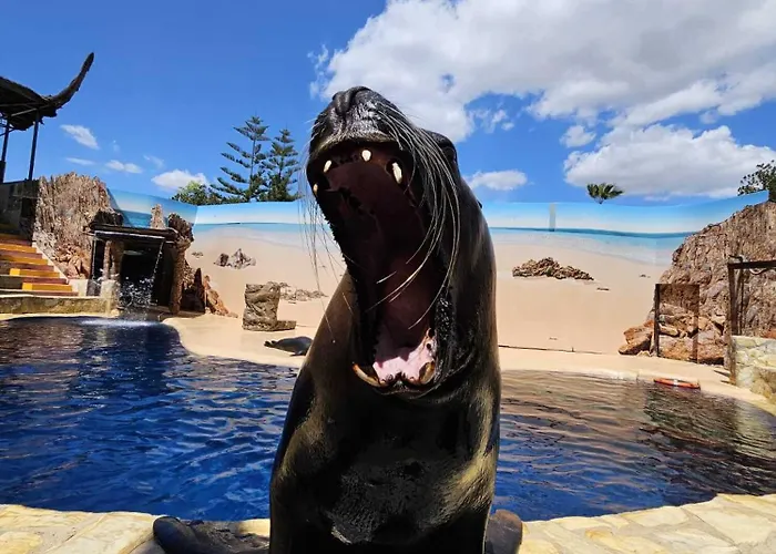 - Costa Blanca Διαμέρισμα