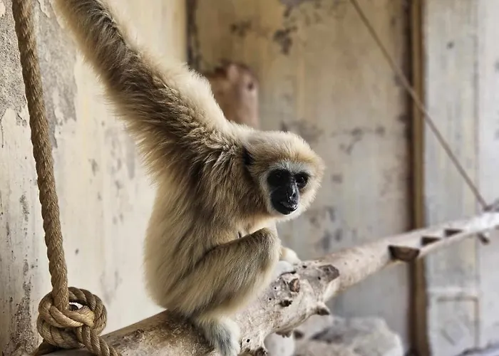 Διαμέρισμα - Costa Blanca